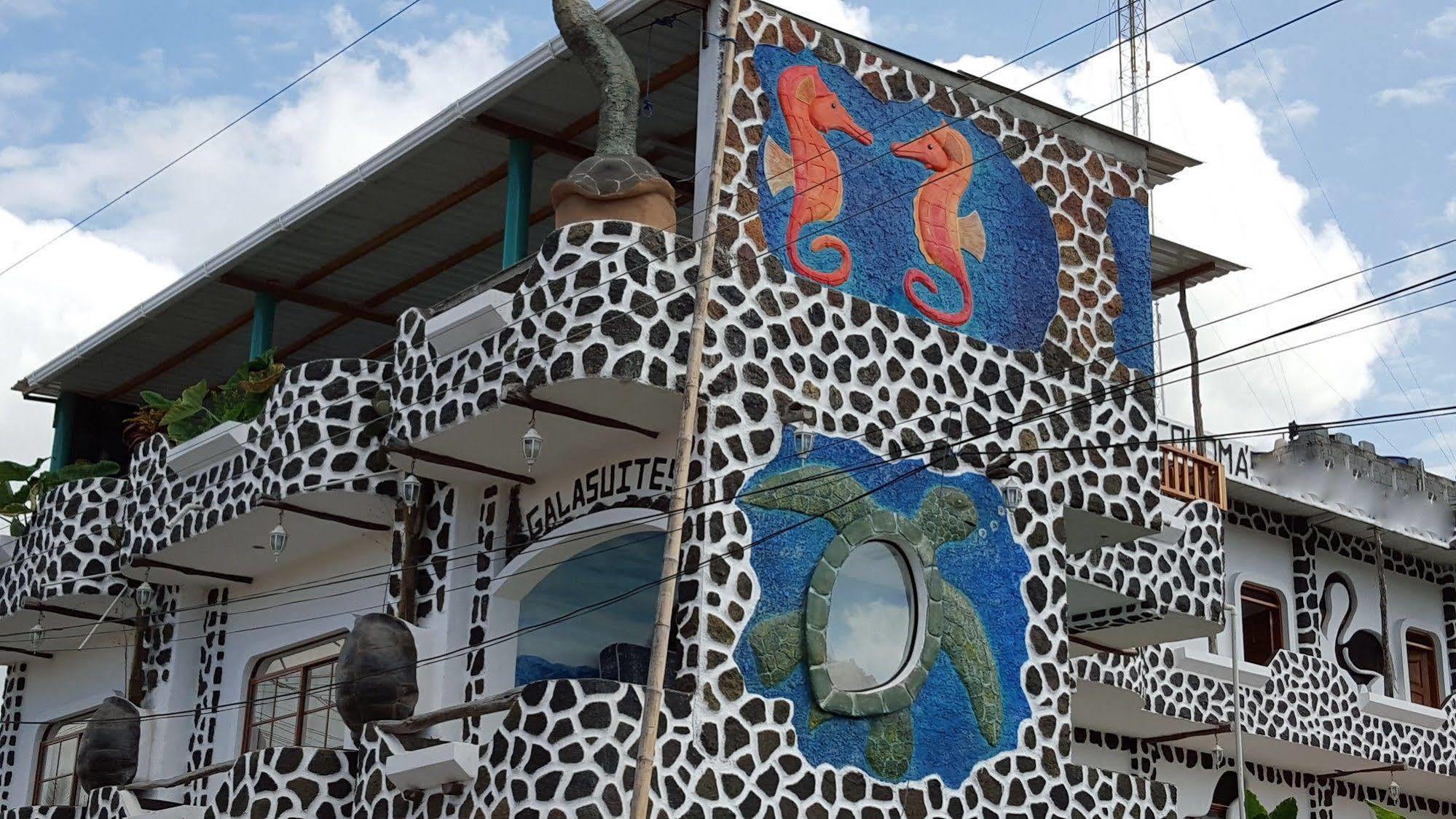 Hotel Coloma Galapagos Puerto Ayora  Exterior foto
